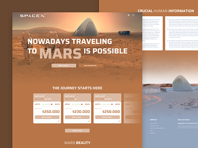 #34/100 SpaceX brown feedback flat futuristic ice interaction design mars planet prototype sand space spacex