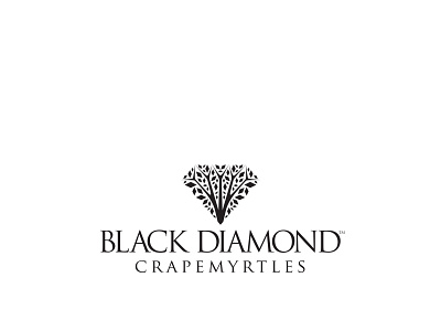 Black Diamond Crapemyrtles logo brand design brand identity crapemyrtle gardening home identity identity branding logo nursery tree yard