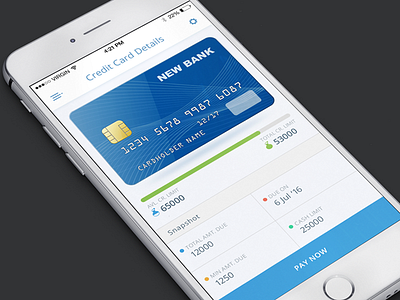 Credit Card Summary banking credit card data details ios iphone payment stat summary ui ux