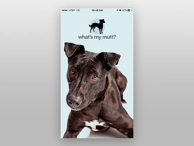 What's My Mutt? iOS app app ios iphone mobile ui ux