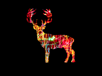 Holiday Lights Deer colorful deer design holiday holiday lights holiday season