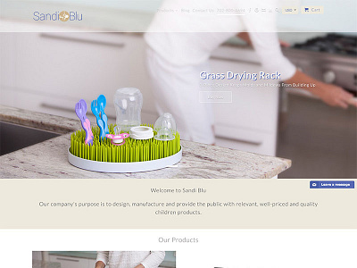 Sandi Blu baby design ecommerce innovation shopify webdesign website