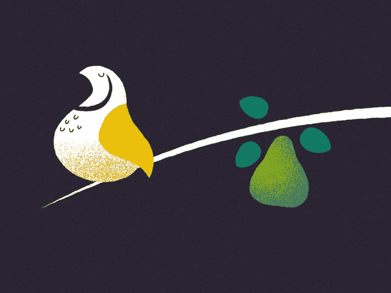 Partridge in a Pear Tree animation bird christmas motion design motion graphics partridge pear pear tree school of motion