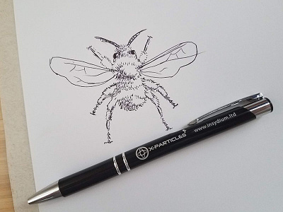 Bee Drawing bee illustration ink inktober pen sketch spelling bee