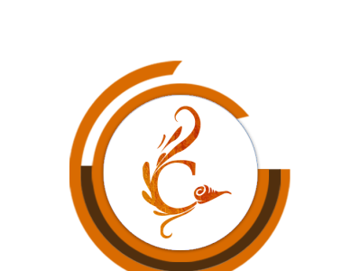 Bird brand identity branding company logo logo