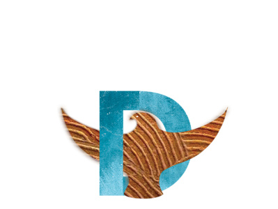Hawk brand design brand identity branding company logo logo logo design