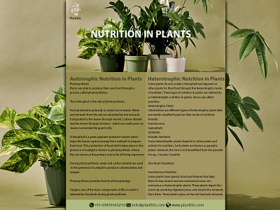 Brochure - Nutrition brand design brand identity branding brochure design brochure template