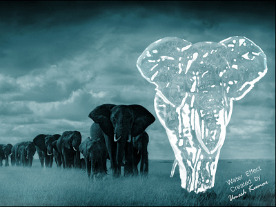 elephants manipulation copyright by umesh production animation branding design graphic design illustration manipulation minimal photoshop vector web
