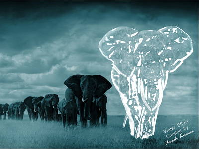 elephants  manipulation copyright   by  umesh production