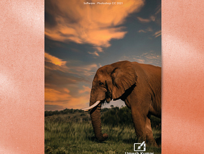 Elephant Painting 3d animation branding graphic design logo motion graphics panting ui
