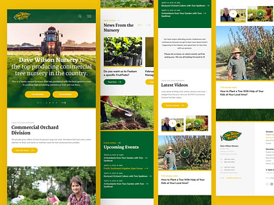 Dave Wilson Nursery Mobile california clean design drawingart mobile nursery orchard photoshop responsive trees ui ux web webdesign website