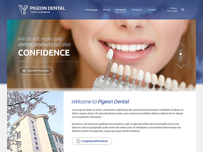 Pigeon Dental by Miro / DrawingArt on Dribbble