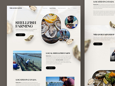 Mirador Farms design drawingart farm oyster responsive shellfish ui ux web website