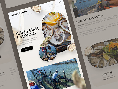 Mirador Farms Mobile design drawingart farm food oyster responsive sea seafood shellfish ui ux web website