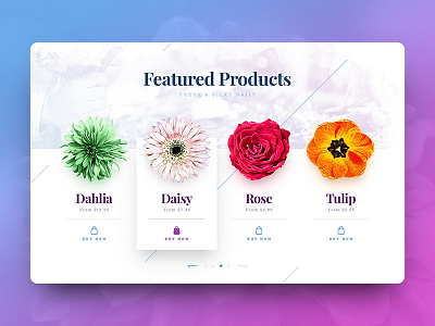 Camellia Shop camellia design drawingart florist flower responsive shop ui ux web website