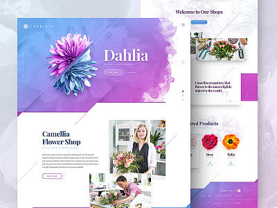 Camellia camellia design drawingart ecommerce flower responsive shop ui ux web webdesign website