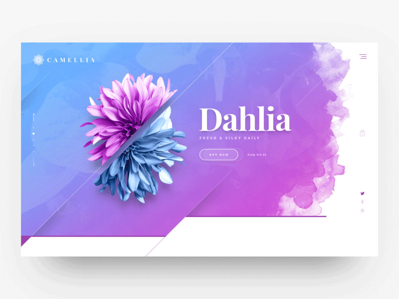 Camellia - Header animation design drawingart ecommerce flower gif responsive shop studio ui web website