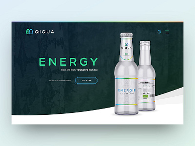 QIQUA birch bottle design logo packaging sap ui ux water web webdesign website