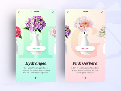 Flowers App app application clean drawingart flower ios iphone ui userexperience userinterface ux