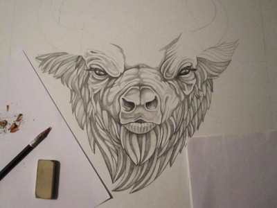 Bison sketch bison illustration pencil sketch