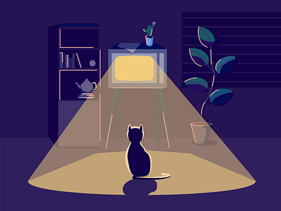 Cat in night TV rays