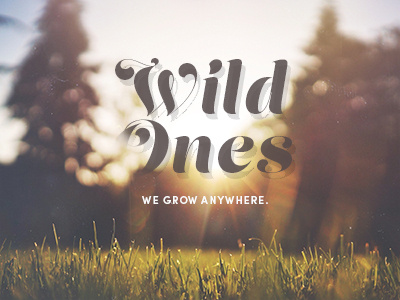 Wild Ones Club