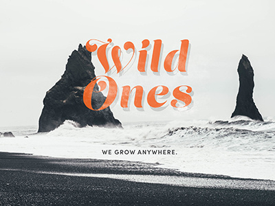 Wild Ones Club