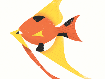 Organic looking fish colors illustration photoshop vector