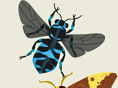 Bug Series for Curious Colombus colors graphic design illustration kids vector