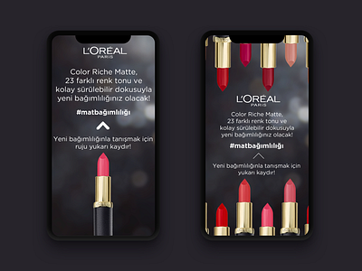 Loreal Instagram Story Design