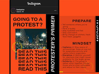 Data Visualization: Protest Primer data visualization data viz dataviz illustration infographic infographic design instagram instagram post instagram stories