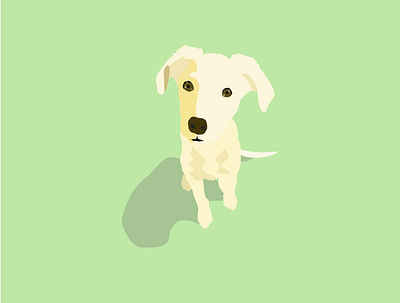 Vector Puppy illustration art design flat graphic design icon illustration illustrator minimal puppy vector web