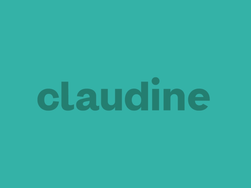 New Branding animation branding claudine stepien design logo logotype minimal motion design typography visual identity