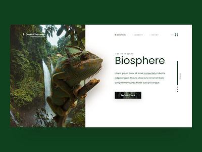 Chameleon - Website Concept adobe xd bisphere chameleon clean concept design modern nature webdesign