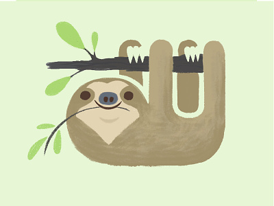 Hangin Out animals nature sloth