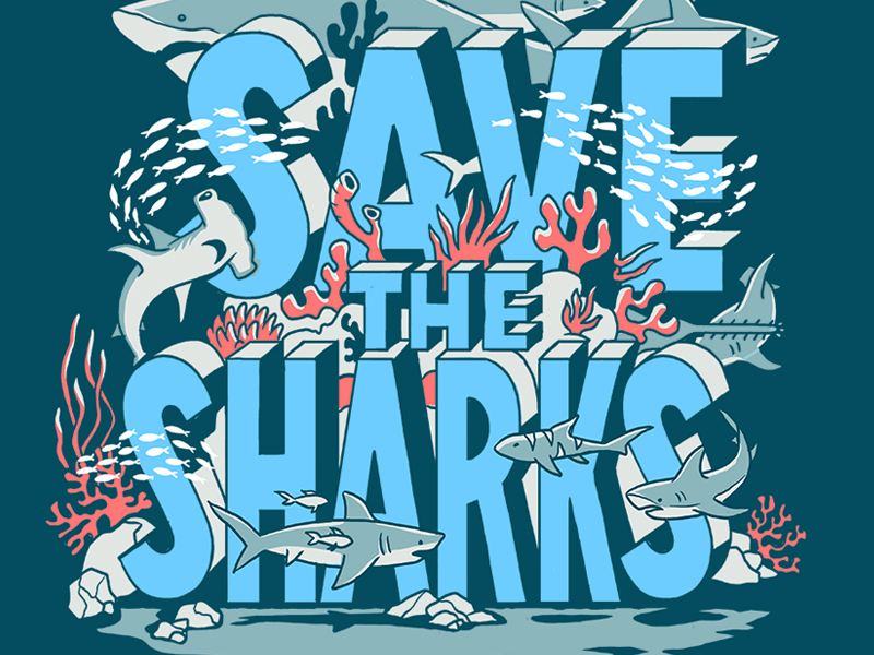 save the sharks