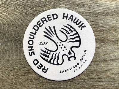 Red Shouldered Hawk bird coaster florida hand drawn hawk illustration inktober lettering