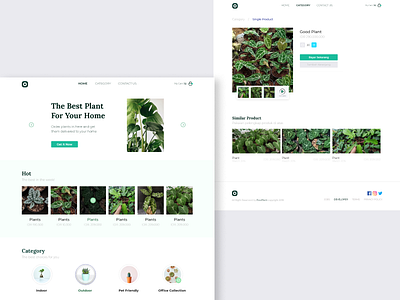 #Exploration - Plant shop ecommerce