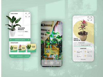 Indoor Plant Finder - App UI concept