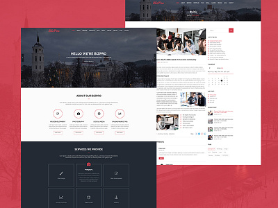 BizPro - Onepage Multipurpose Business Template advisor agency analytical business company consulting finance financial onepage parallax portfolio trader