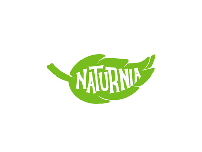 Naturnia branding design handmade id illustration leaf logo logo logotype natural type typography vector