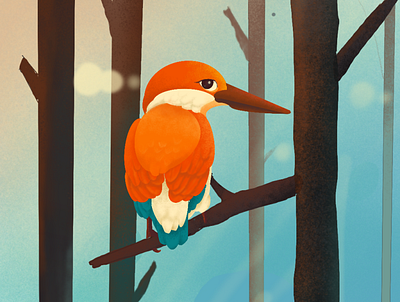 bird design illustration