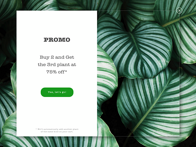 pop-up/overlay dailyui dailyui016 overlay popup