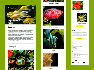 Minimorphism mobile version aquarium fish design fish landing mobile app ui ux uxui webdesign