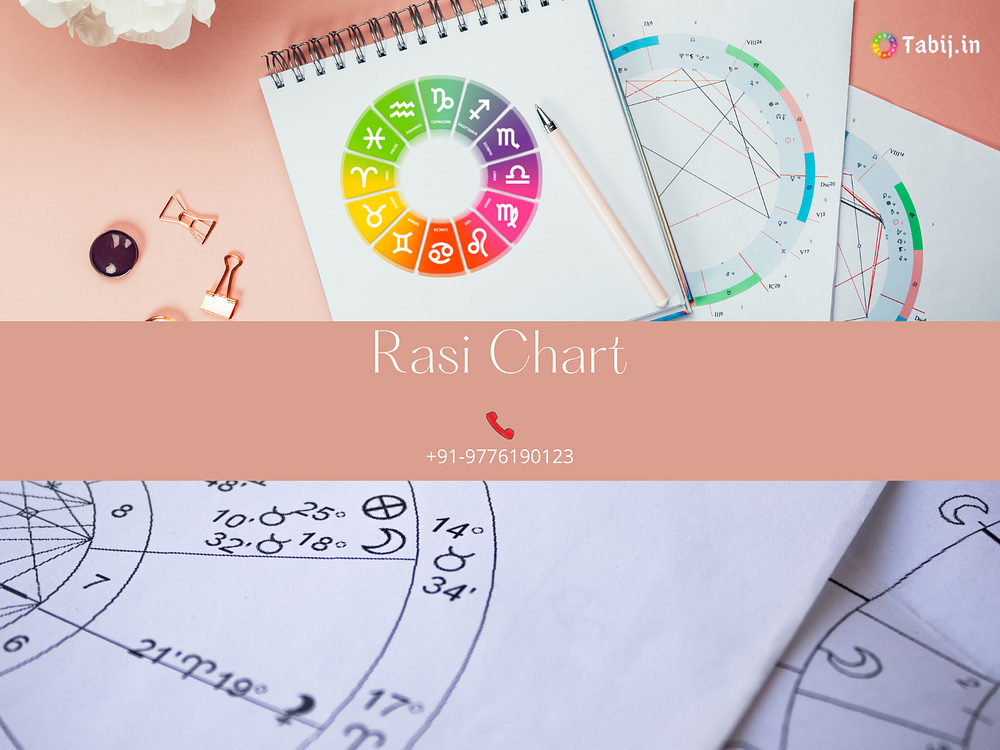 Rasi Chart by Astro Puja on Dribbble