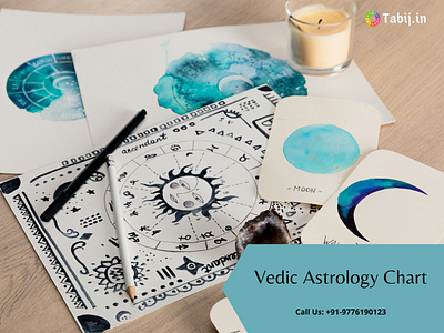 Vedic Astrology Chart  2