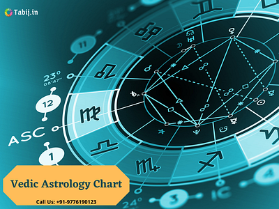 Vedic Astrology Chart  1