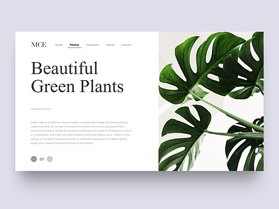 Beautiful Green Plants brand design layout simpl type typography white