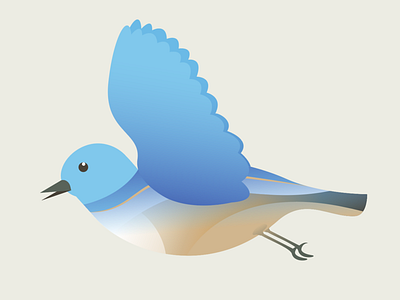 Songbird character design adobe illustrator animation bird characer design flat design gradients illustration minimal vector