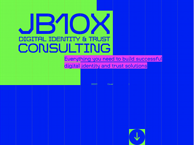 JB10X Digital Identity & Trust Consulting visual grid